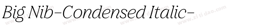 Big Nib-Condensed Italic字体转换